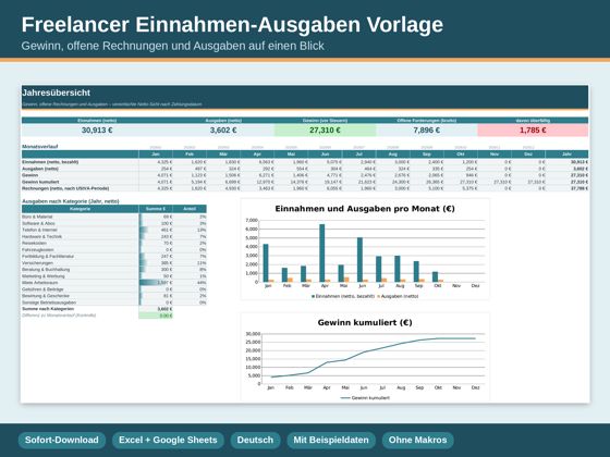 Vorschau Freelancer Einnahmen & Ausgaben